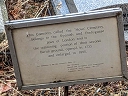 Novo Cemetery (id=9915)